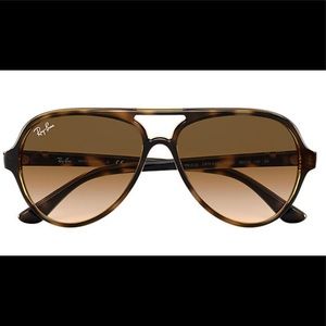 CATS 5000 CLASSIC.  FRAME:Tortoise